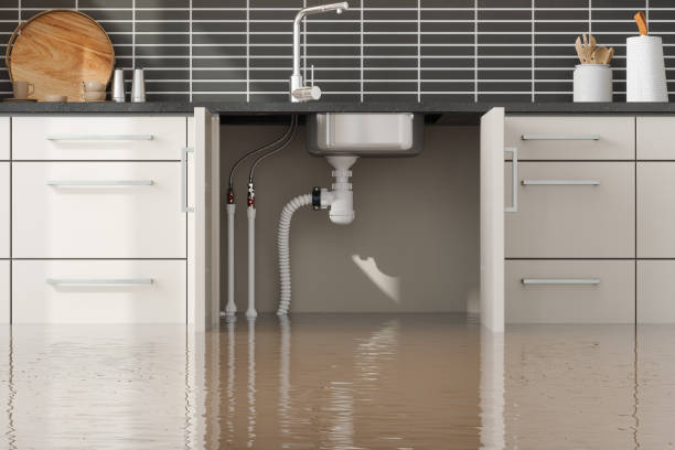 Best Commercial water damage restoration  in Haslet, TX